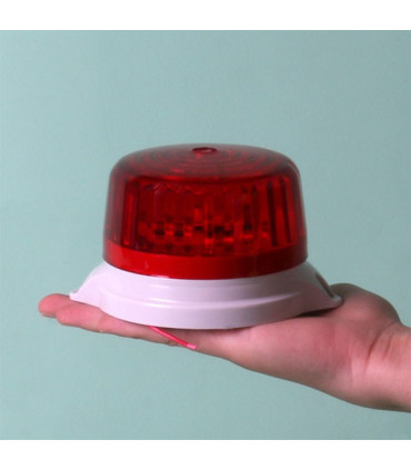 فلاشر 12 ولت بزرگ