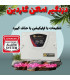 دزدگیر اماکن گاردین مدل NS25