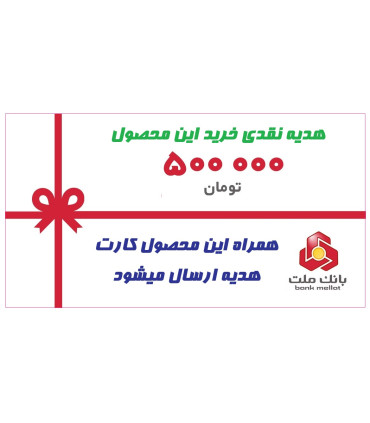 Z4 کلاسیک مدل سفارشی