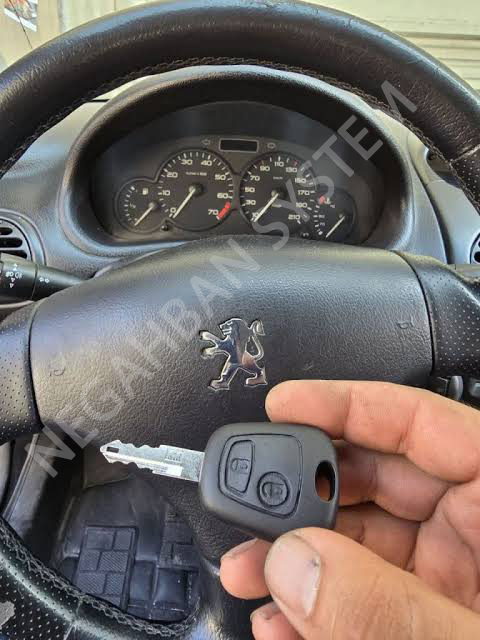 Programming the 206 remote